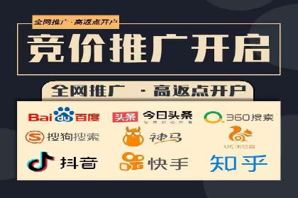 企业SEM服务实战案例解析